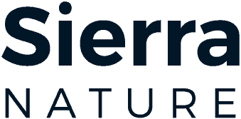 infoalbufera.com